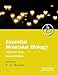 Essential Molecular Biology Vol 2: A Practical Approach: v. 2 (Practical Approach Series)