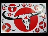 【夏期休業（9月7日～）のため⇒9月16日発送予定】【STICKER】大人気!!カラバオ(CARABAO)★ステッカー(LLL)-RD1