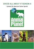 Breed All About It Season 4 - Episode 26: American Cocker Spaniel - B000KGGOGI ( DVD )