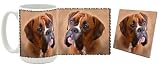 Boxer Mug & Coaster Gift Box Combo - Dog/Puppy/Canine Edition Beverage Drinkware