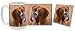 Boxer Mug & Coaster Gift Box Combo - Dog/Puppy/Canine Edition Beverage Drinkware