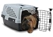 Firstrax 19-Inch Pet Suites Double Door Multi-Use Pet Kennel