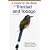 A Guide to the Birds of Trinidad and Tobago (Helm Field Guides)