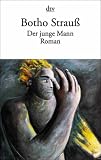 Der junge Mann: Roman