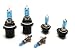 World Imports H4108XW2 H4 Bulb 12V 100/80W Pair