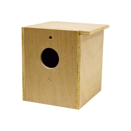 Cockatiel Nesting Box