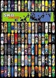 Sport Posters: SK8 - Decks - 61 x 86 cm
