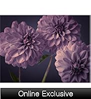 Chrysanth Cluster Wall Art