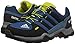 adidas Outdoor Terrex Gore-Tex Hiking Boot (Little Kid/Big Kid)
