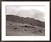 A Shepherd with His Border Collie Sheep Dogs Checks His Flock Somewhere on the Cumbrian Hills, 1935 Framed Photographic Poster Print by Mirrorpix, 30x24
