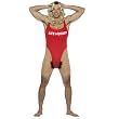 Anita Waxin' Adult Costume - One-Size - Adult Costumes
