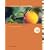 Computer Accounting with Peachtree Complete 2008, Release 15.0 with CD-ROM