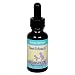 Herbs for Kids Sweet Echinacea Herbal Supplement, Immune Support, 1-Ounce Bottles (Pack of 3)