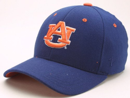 Auburn Tigers 