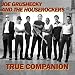 Search : True Companion