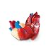 Learning Resources Cross Section Human Heart Model