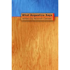Amazon.com: What Augustine