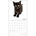 2016 Black Cats on White Calendar