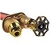 Woodford 25CP-60 Model 25 Wall Faucet, 60-Inch, CP Inlet