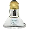 Sylvania 14502 50 Watt PAR20 Narrow Flood Light Bulb / 30 Degree Beam Spread / 120 Volt / 50PAR20