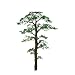 Professional Tree, Scots Pine 3