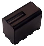 Hi-Capacity Li-Ion Camcorder Battery for Sony DCR-VX2000 (NP-F950/960)