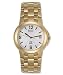 ESQ by Movado Men's Crestone Gold-Tone Watch #07300881