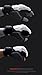 MOOTO Taekwondo Hand Protector Season2 WTF KTA Approved TKD Hand Gear (4.M)