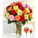 Flowers - Two Dozen Assorted Petite Roses with Vase