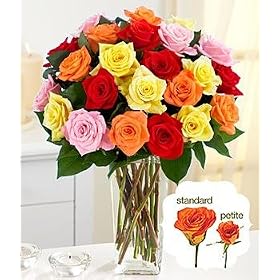 Flowers - Two Dozen Assorted Petite Roses with Vase