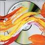 Positivity CD2
