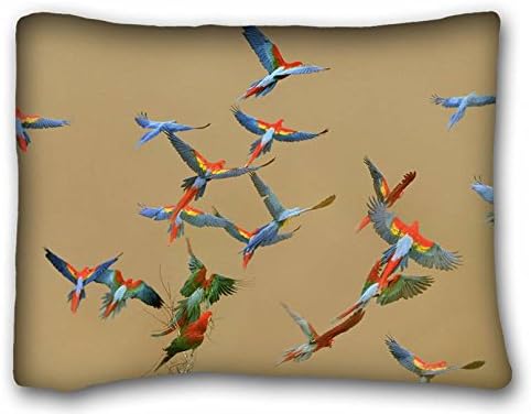Custom Cotton &amp; Polyester Soft ( Animals Birds Parrots macaw ) Pillow Cushion Case Cover One Sides Printed 20x26 Inches suitable for California King-bed PC-Bluish-47368
