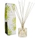 The Thymes Frasier Fir Reed Diffuser Set