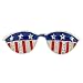 Brass Enamel American Flag Sunglasses Pin with Clear CZ 16x51mm