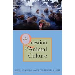 The Question of Animal Culture