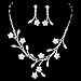 Accessoriesforever Women Bridal Wedding Prom Fashion Jewelry Set Floral Vine Pearl Rhinestone