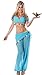 Delicious Arabian Nights Sexy Costume, Blue, Small