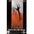 Psycho [VHS] [1998]