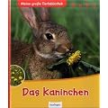 Das Kaninchen