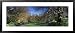 Bare Trees Along a Walkway, Canary Wharf, Tower Hamlets, London, England, United Kingdom Places Framed Art Poster Print by Panoramic Images, 43x19
