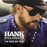 Bild des Albums von Hank Williams Jr.