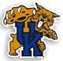 Kentucky Wildcats 12" Car Magnet