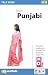 Books : Talk Now! Learn Punjabi: Beginners