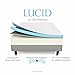 LUCID 12