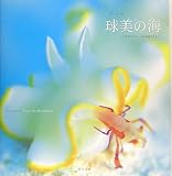 球美の海―ベジタブルフィールドの住人たち 川本剛志写真集 画像