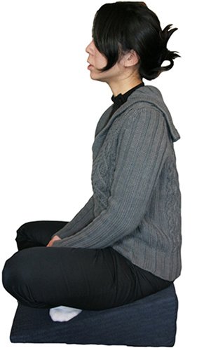 Cover image : ハーレー正座あぐら楽々バランス座布団