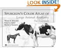 Spurgeon's Color Atlas of Large Animal Anatomy: The Essentials