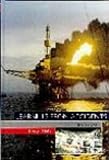 Review Butterworth-Heinemann  / Learning from Accidents