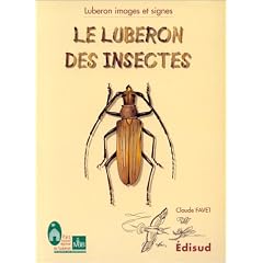 Luberon des insectes