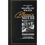 John Steinbeck's the Grapes of Wrath: Bloom's Notes book cover